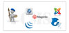 content management system